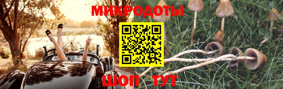 купить наркотики сайты  Псилоцибиновые грибы Cubensis  Вход с VPN  Вязники 